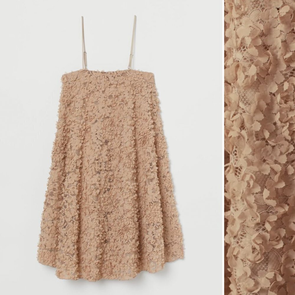 NWT H&M Beige Trapeze Style Mini Dress with Appliqués 3D Flowers Size XS